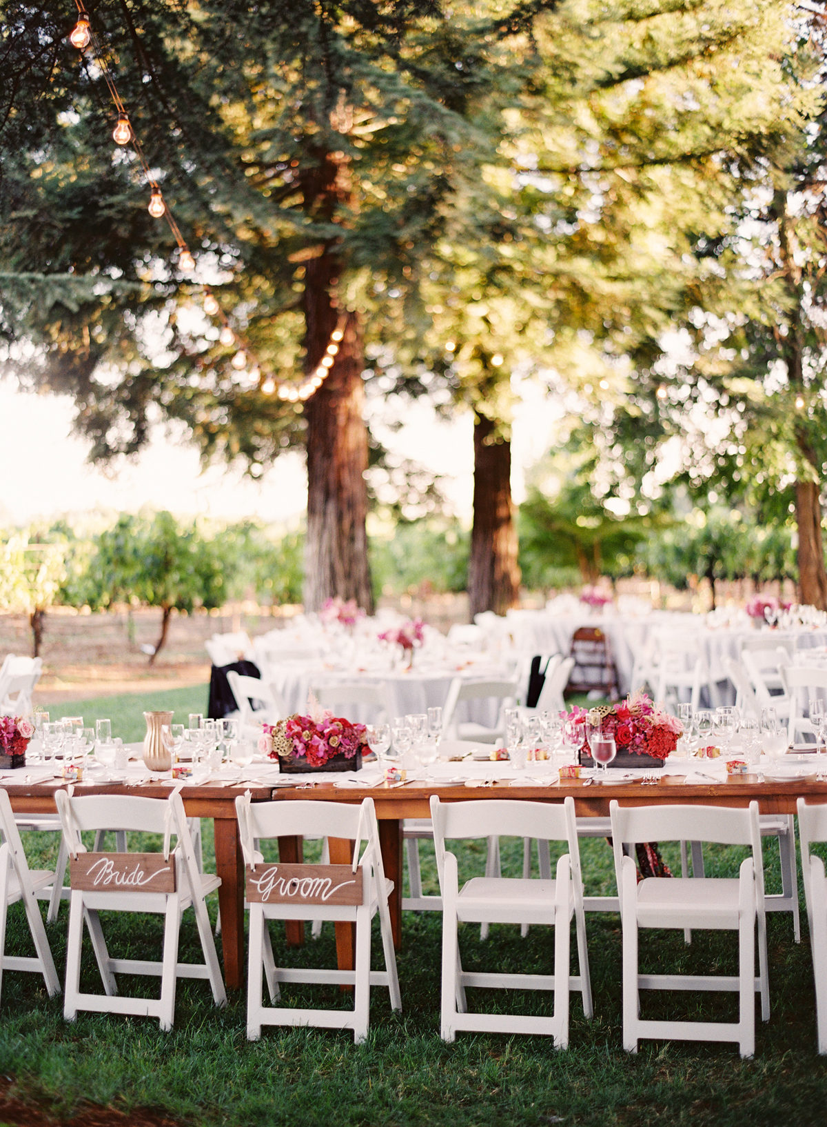 Diy Napa Valley Wedding At Andretti Winery