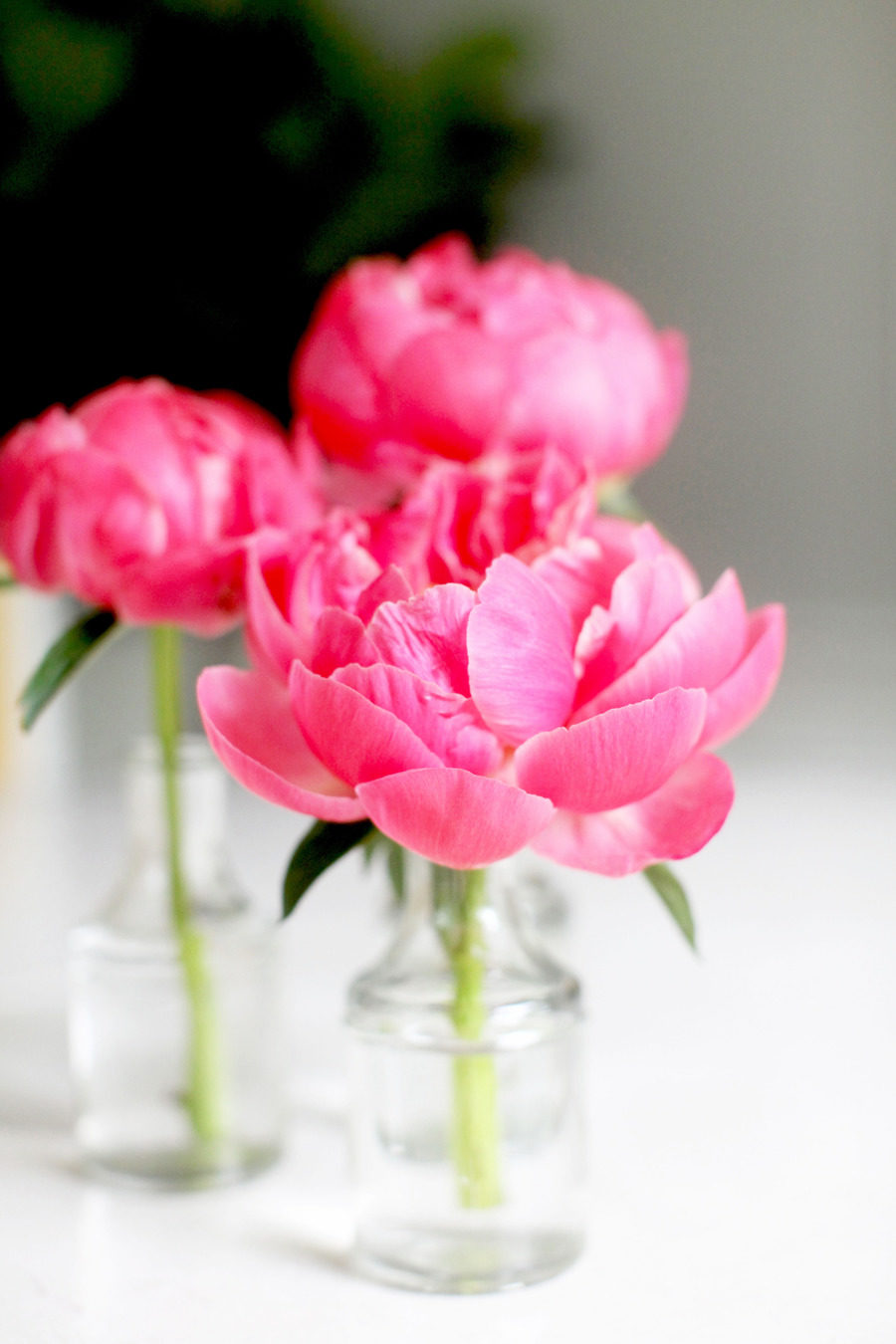 Diy Flower Arrangement Peonies 3 Ways 3 Peonies Small Gl Jars Vases Scissors